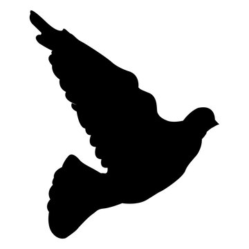 Flying pegion sequence