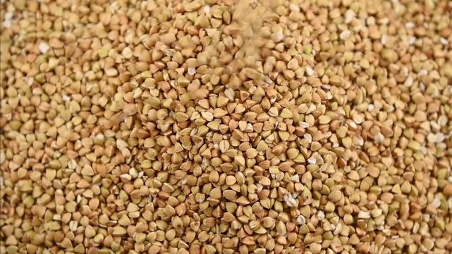 Green buckwheat groats pouring into pile on tabletop closeup
