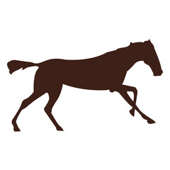 Fototapeta premium Horse galloping motion sequence 11