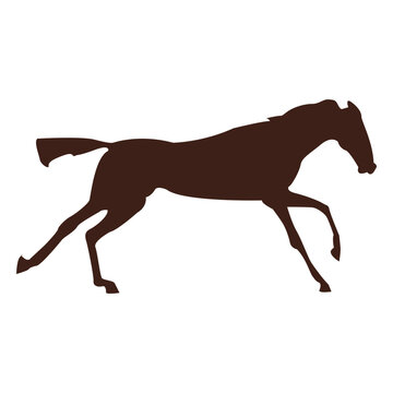 Horse galloping motion sequence 7