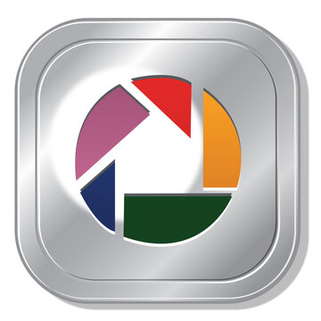 Picasa metallic button