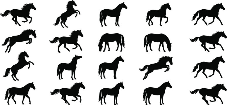 Twenty-one black horse silhouettes showing different poses and actions