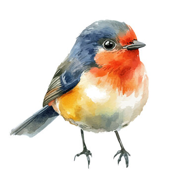 Sparrow, watercolor painting with colorful accents, isolated on a white background.