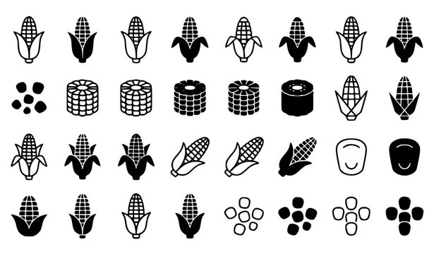 Corn ear outline and solid icon set with maize symbols dual style editable stroke vector collection