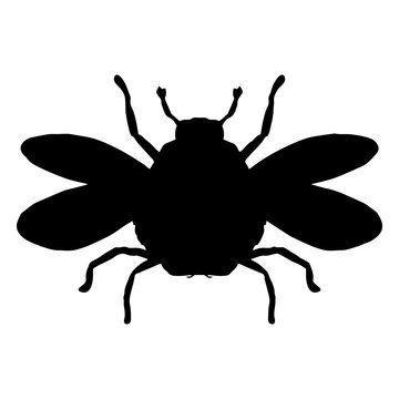 Bumble bee silhouette