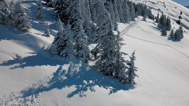 hombre caminando en la nieve con tabla de snowboard
