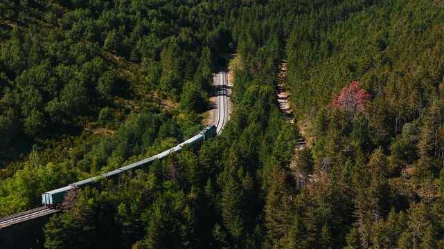 Canfranc railway passenger train crossing a viaduct and entering a tunnel in a forest