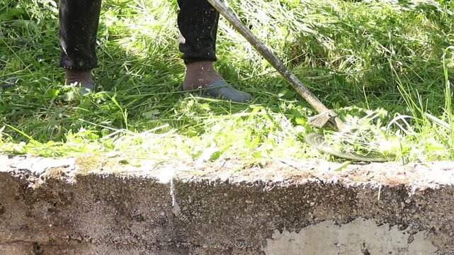 Low angle view of a person using a string trimmer to cut grass along a concrete edge, with fresh clippings scattered around, highlighting precise lawn edging and outdoor garden maintenance work.