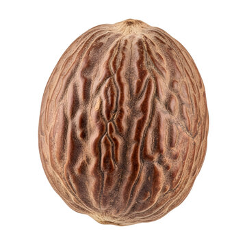 Brown walnut shell isolated on transparent background