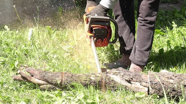 Close-up of a chainsaw positioned forward while cutting a tree trunk on grass, capturing precise control and motion, with sawdust scattering in sunlight during active outdoor wood cutting work.