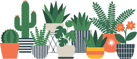 plant potted succulent and cactus illustration pots © AIcon Star