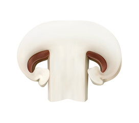 Realistic raw sliced champignon mushroom vegetable with smooth white texture and visible gills. Isolated 3d vector fresh cut edible fungus plant with soft stem and rounded cap, cooking ingredient © Buch&Bee
