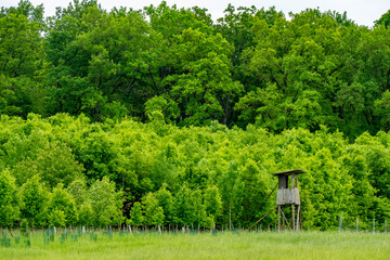 Hoch und Jägersitz am Waldrand © focus finder