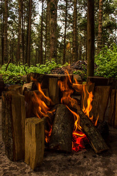 A campfire surrounded by logs within a pine forest in Magoebaskloof