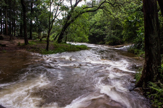 The fast-flowing Ramapida River flowing through the Indigenous Afromontane forests hidden within the mountains of Magoebaskloof in South Africa.