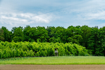 Hoch und Jägersitz am Waldrand © focus finder