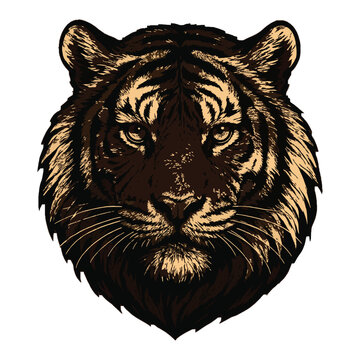 Gold Black Tiger Head Portrait Icon &ndash; Wild Animal Power Fierce Beast Symbol Vector Graphic