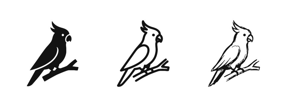Cockatiel parrot bird icon set, pet bird on branch in solid, outline, and hand-drawn sketch styles