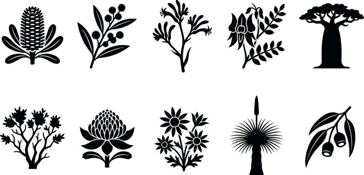 Collection of black silhouette Australian flora and baobab tree black and white fauna nature