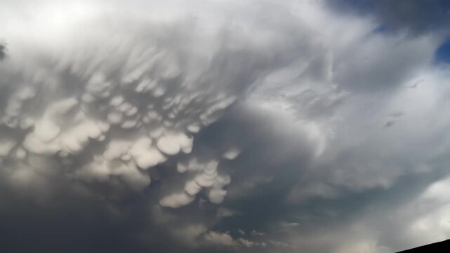 Panoramic view of mammatus clouds forming in blue sky, dramatic storm weather pattern. Wide scene shows pouchlike convection bulges against azure atmosphere, rare cumulonimbus underside moving.