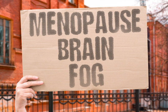 "Menopause Brain Fog" Cognitive impairment associated with hormonal menopause transitions is frequently unrecognized . MENOPAUSE. COGNITIVE. HORMONE. WORKPLACE. IMPAIR.