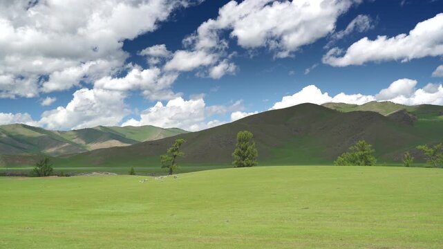 Vast green meadow grassland at mountain foothills in Mongolia under blue sky and clouds. Lush prairie plain beside rocky ridges, spring sward stretching over steppe as sunbeams drift.