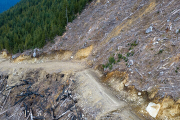 Fototapeta premium Clearcut Deforestation and Erosion on a Steep Mountain Slope in British Columbia, Canada