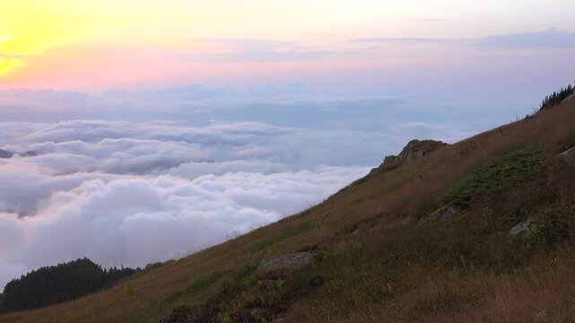 Bolivia sunrise, vast cloud ocean, high peaks, alpine meadow ridge, warm morning colors. Yungas panoramas reveal fog blanket drifting across grassy slopes near Pilon Lajas reserve.