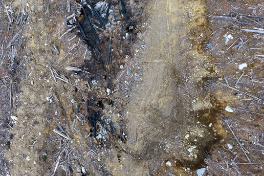 Aerial View of Burnt Clearcut and Logging Road After Wildfire in British Columbia Canada