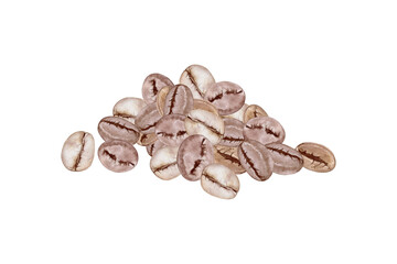 Obraz premium Watercolor roasted coffee beans pile illustration. Hand drawn botanical composition for cafe menu, coffee packaging and branding design. Organic brown seeds isolated on white background.