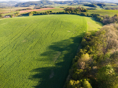 Aerial view of vibrant green agricultural fields and rolling hills bordered by a dense line of trees casting long shadows under soft sunlight in Cerin, Banskobystricky kraj, Slovakia.