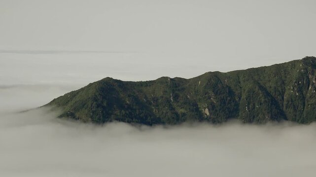 Green mountain ridge rising above sea of clouds in the Balkan range at sunrise light. Verdant upland crest floats upon fog ocean, revealing rolling peaks under early dawn glow.