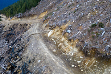 Fototapeta premium Clearcut Mountain Slope With Tree Stumps And Erosion Along Dirt Road In British Columbia, Canada