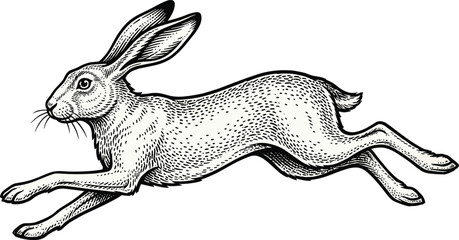 Vintage Style Engraving Illustration of a Wild Hare Running and Jumping in a Fast Motion Dynamic Pose © IconicCreations