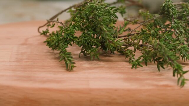 Green thyme bunch tied together, aromatic spices of dried thyme for use in cooking and folk medicine, herbal tea, kitchen. 