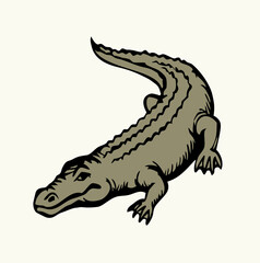 Fototapeta premium Vector drawing. The crocodile lies on the ground