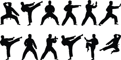 Black silhouettes of martial artist performing karate kicks and poses in uniform isolated on white background for sports design © IconicCreations