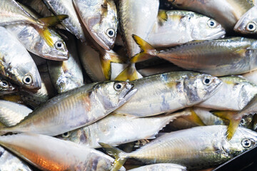 Obraz premium Fresh Silver Fish Close-Up DIY Market