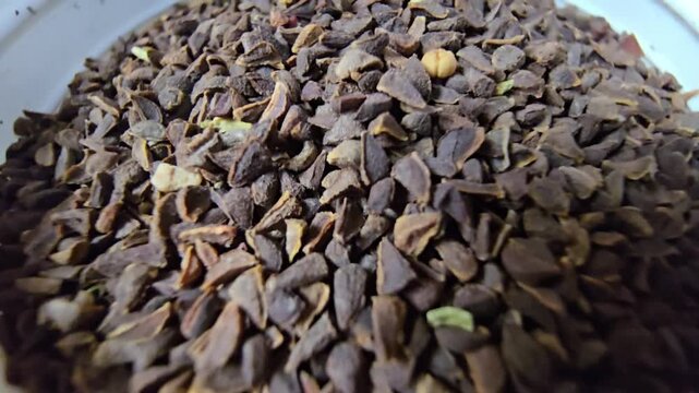 Top-down macro shot of Peganum harmala seeds in a white bowl, detailed texture of Syrian Rue seeds (Peganum harmala) used in herbal medicine and traditional rituals, bright natural lighting.