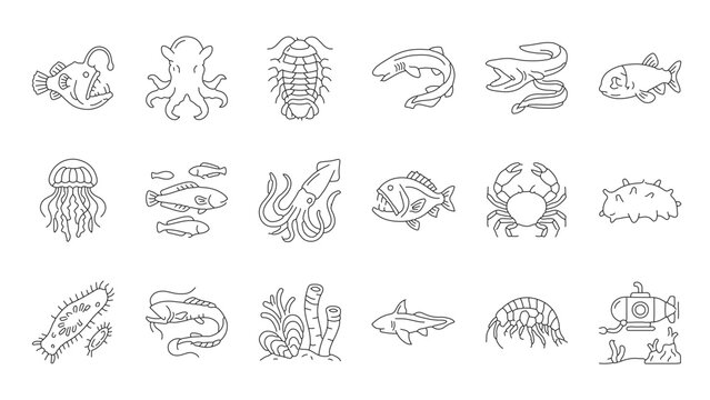 Line art animal icons set with collection butterfly scorpion arachnid arthropod amphibian jellyfish tortoise insectoid creature wildlife invertebrate domestic venomous poisonous