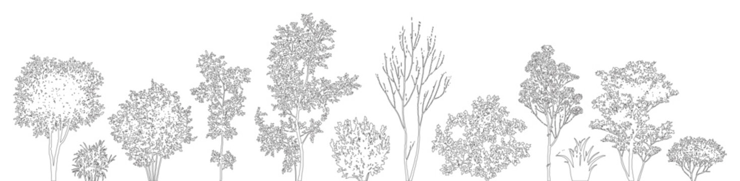 Minimal style CAD tree silhouette line drawing, Side view, set of graphics mixed trees elements outline symbol for architecture landscape design drawing. Vector illustration. forest garden section