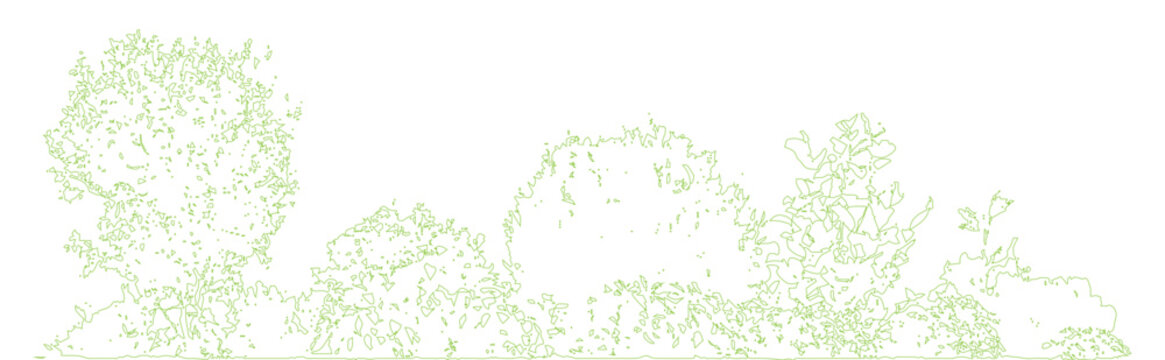 Minimal style CAD tree and shrub line drawing, Side view, set of graphics vegetation elements outline symbol for architecture landscape design drawing. Vector illustration. forest garden section