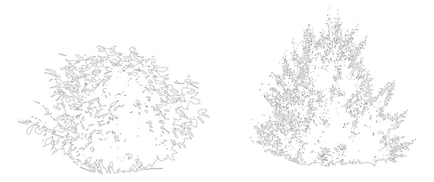 Minimal style CAD shrub line drawing, Side view, set of graphics bushes elements outline symbol for architecture landscape design drawing. Vector illustration. garden vegetation section