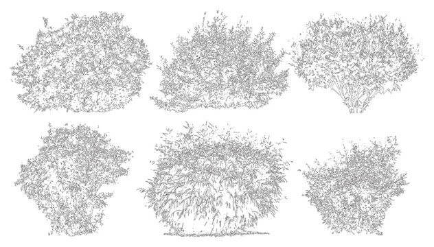 Minimal style CAD shrub line drawing, Side view, set of graphics bushes elements outline symbol for architecture landscape design drawing. Vector illustration. garden vegetation section