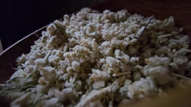 Macro shot of dried Teucrium polium (Felty Germander), a medicinal mountain herb from the Saudi desert used in folk medicine and blood sugar regulation, served in a wooden bowl.