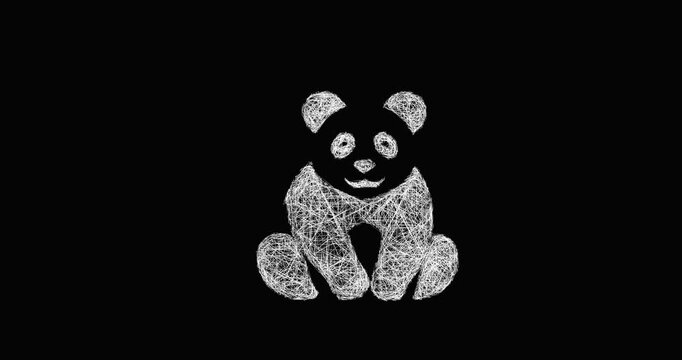 Sketch giant panda icon animation - smooth progressive reveal