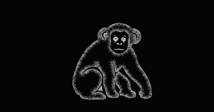 Sketch chimpanzee icon animation - smooth progressive reveal
