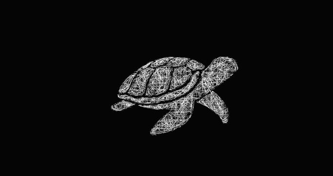 Sketch sea turtle icon animation - smooth progressive reveal