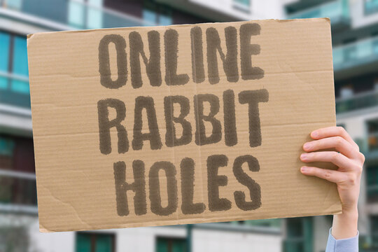 "Online Rabbit Holes" Successive algorithmic content recommendations form escalating pathways into increasingly extreme online communities. ONLINE. ALGORITHM. RECOMMEND. ESCALATE. COMMUNITY.