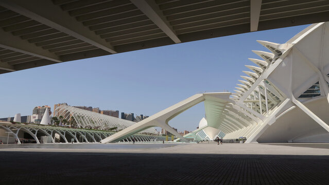 Queen Sof&iacute;a Palace of the Arts is the last major structure built of a grand City of Arts and Sciences concept designed by the Valencia-born and known architect Santiago Calatrava. Val&ecirc;ncia, Spain.